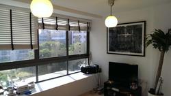 KIM YAM ROAD (D9), Condominium #68789442